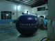 China Globos formados fruta para hacer publicidad, bola inflable del arándano de Reuseable los 5ft del globo del helio exportador 